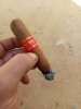 IMG_20250127_094534.jpg