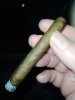 IMG_20250129_233355.jpg