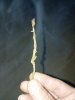 IMG_20250221_234933.jpg