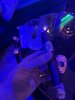 IMG_6483.jpeg