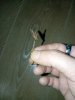 IMG_20250307_235852.jpg