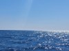 20250528_174006.jpg
