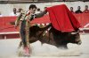 El-torero-espanol-Jose-Tomas-d_54349651671_54028874188_960_639.jpg