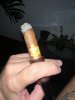 IMG_1102.jpeg