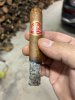 IMG_7018.jpeg