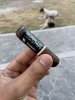 IMG_8390.jpeg