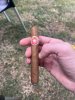 IMG_6750.jpeg