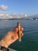 IMG_6817.jpeg