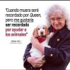 Brian May00.jpg