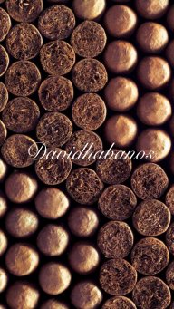 Davidhabanos
