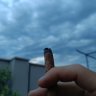 Carlosmor23