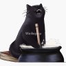 SALEM